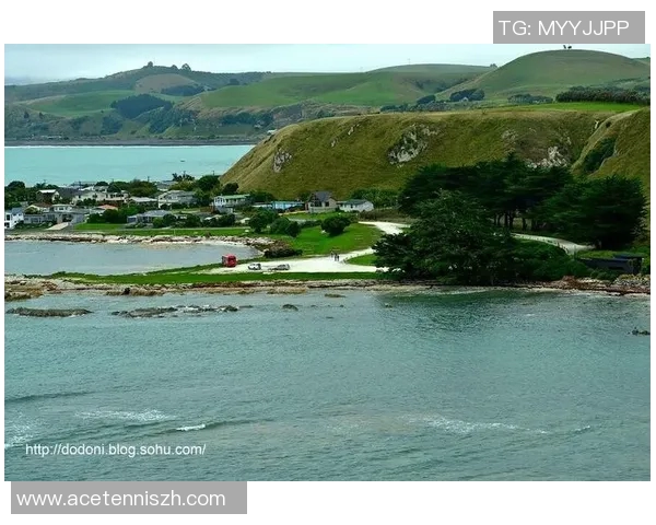 足球传奇巴乔海报墙贴装饰让你的空间充满运动激情与经典魅力